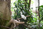 DSC_9058.JPG